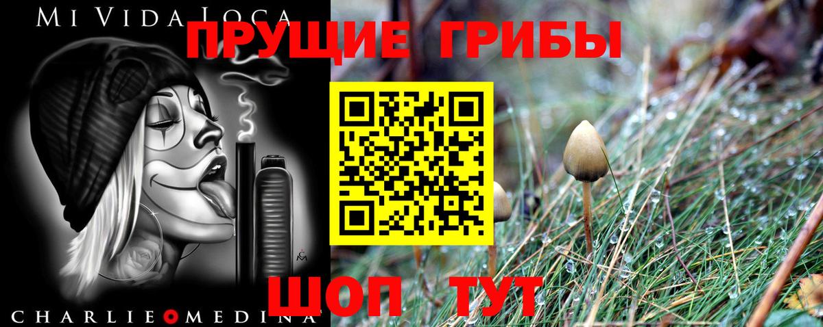 Галлюциногенные грибы Magic Shrooms  Вход с VPN  Балашиха  Псилоцибиновые грибы MAGIC MUSHROOMS 