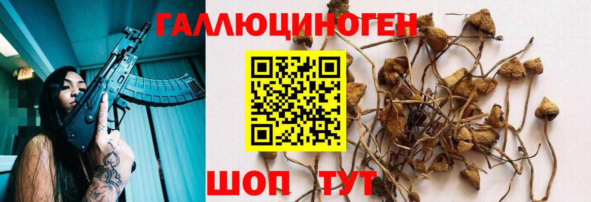 Псилоцибиновые грибы GOLDEN TEACHER Балашиха