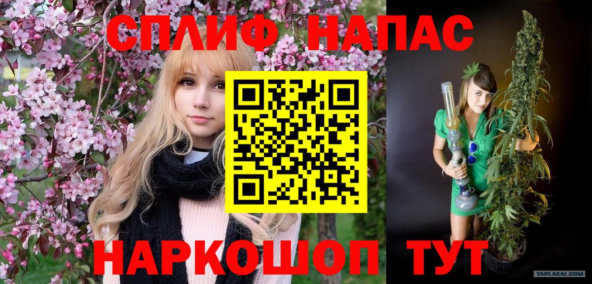Бошки Шишки семена  Бошки марихуана план  Каннабис THC 21%  Конопля план  Балашиха  Вход с VPN 